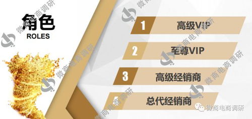 唐淑玉丹消毒產品虛假宣傳及四級代理模式解析